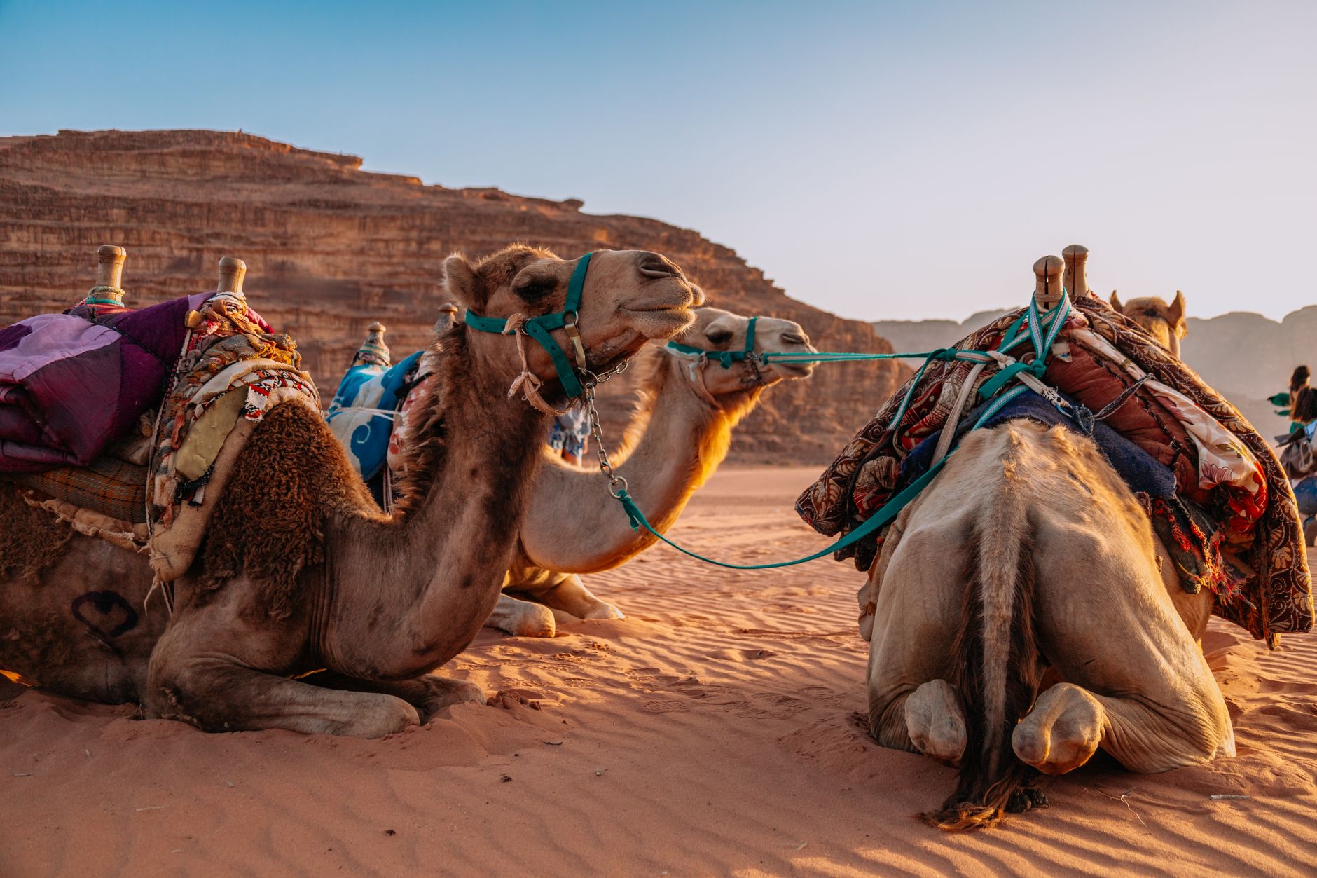 Voyager en Jordanie en hiver : guide complet et budget