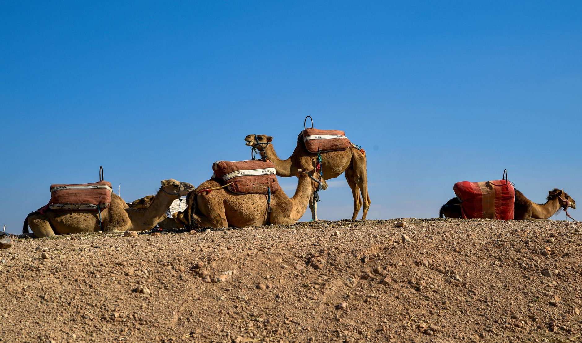 Voyager au Maroc en novembre : guide complet et budget