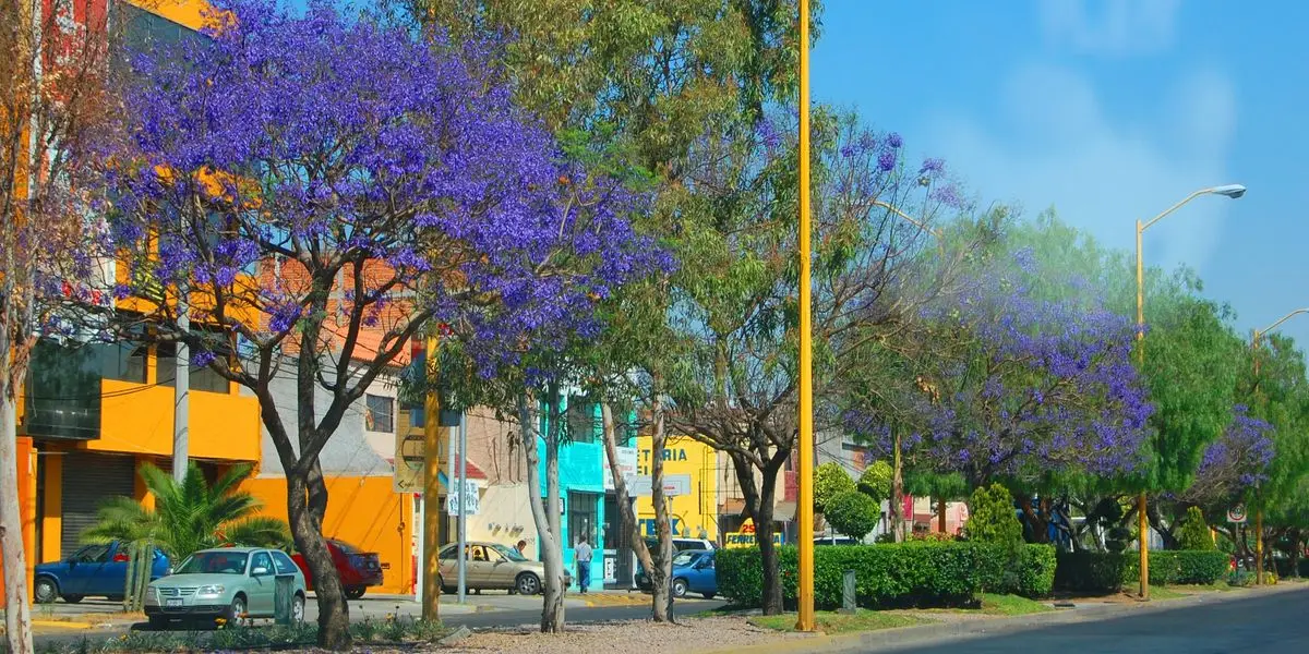 Veduta di Aguascalientes, Messico