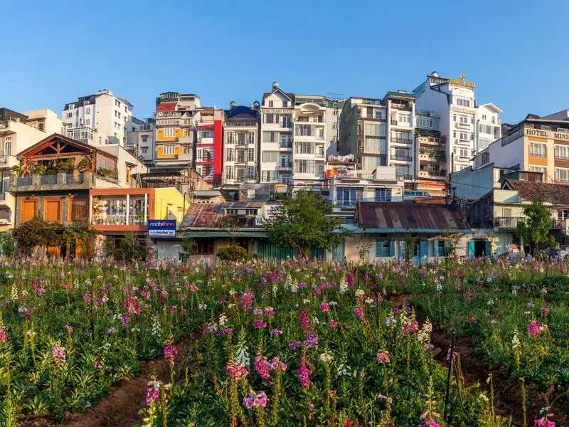 Vista de Dalat, Vietnam