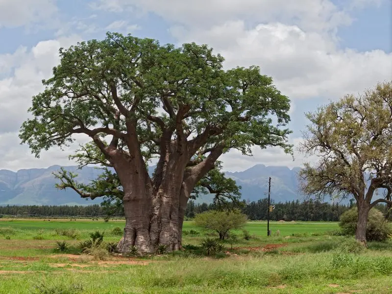 Vista de Hoedspruit, Sudáfrica