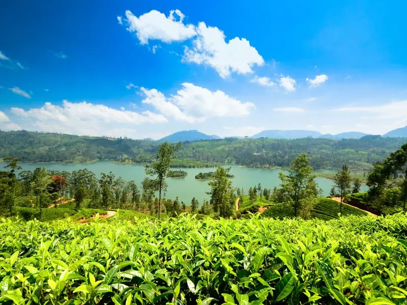 View of Nuwara Eliya, Sri Lanka