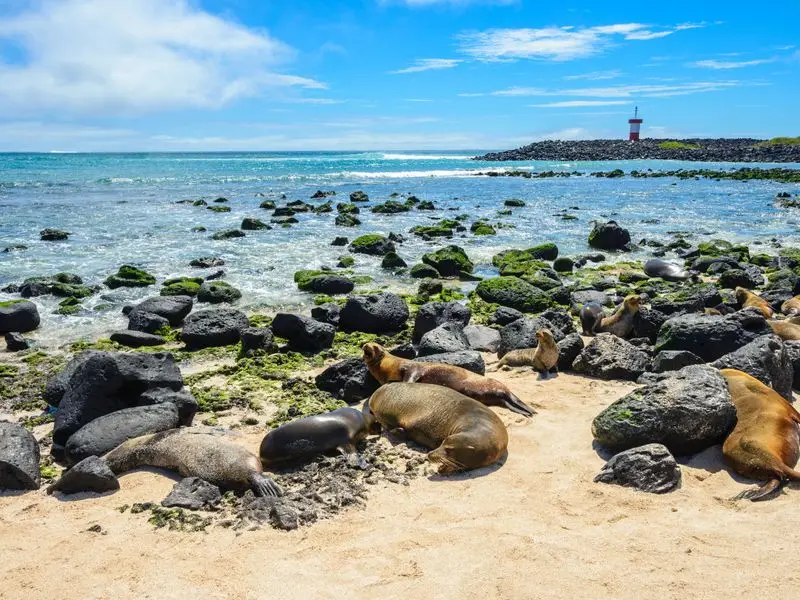 Veduta di Puerto Baquerizo Moreno, Ecuador